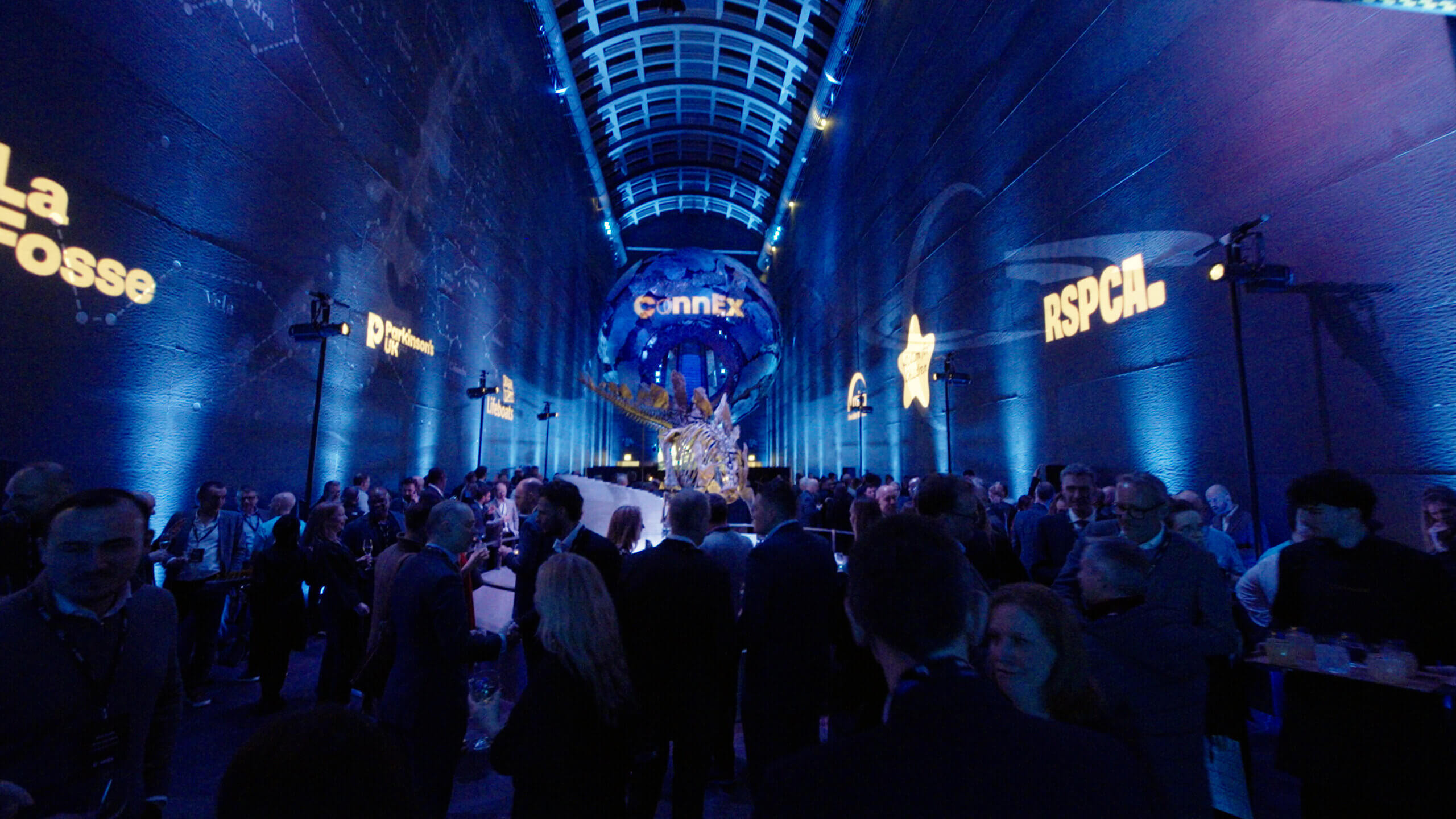 La Fosse ConnEx at the Natural history museum